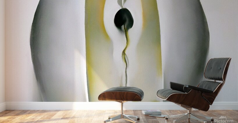 Georgia OKeeffe - Slightly Open Clam Shell 1926 Wall Murals