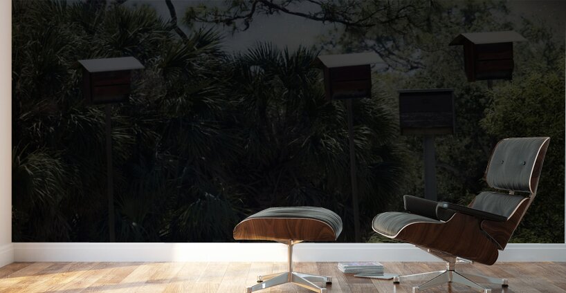 IMG 2542BatHouses Wall Murals