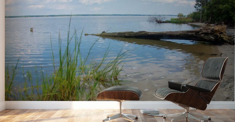 5 DSC 2161 1 Wall Murals