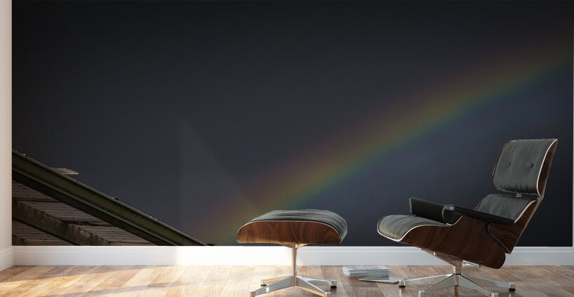 FS200522 Wall Murals