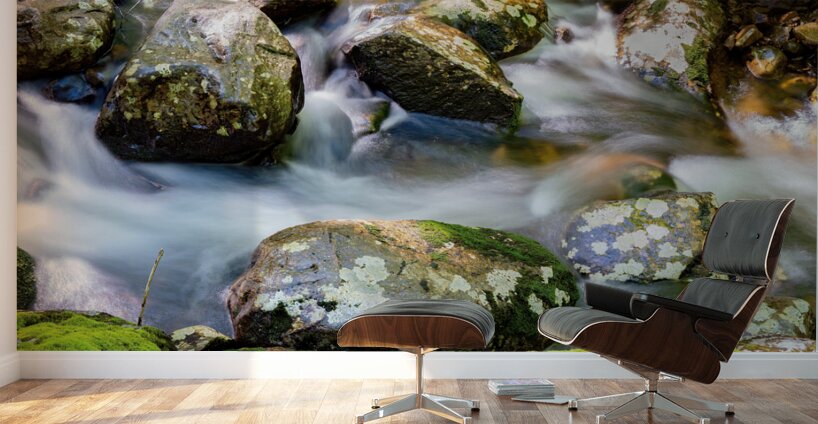 Le murmure de leau Wall Murals