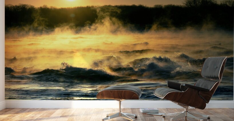 Le debut de la vie Wall Murals