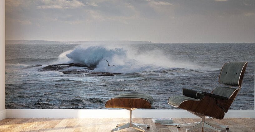 Flying Low Wall Murals