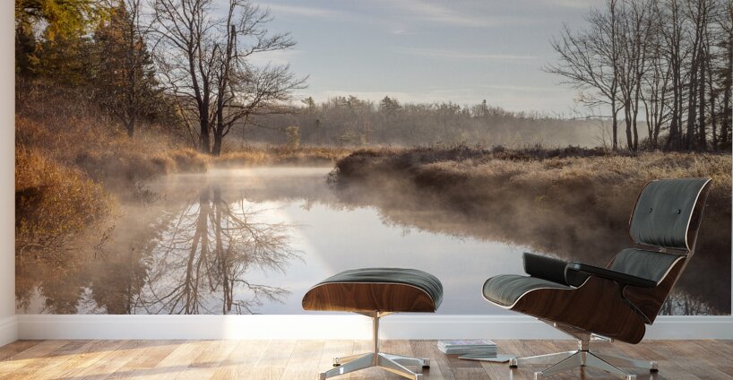 Mirror Image Wall Murals