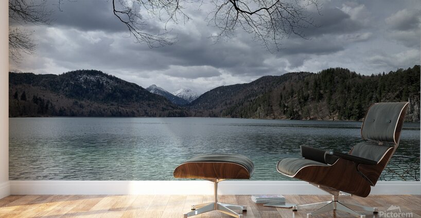 2023 04 15 13 59 44 069 Wall Murals