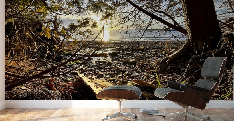 Peshawbestown 02  Wall Murals