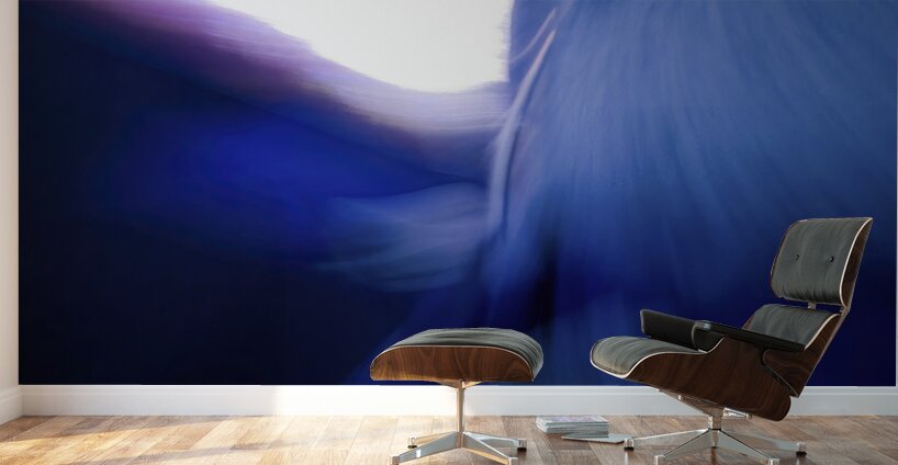 Accident Wall Murals