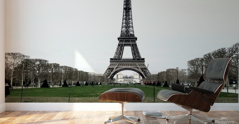 Eiffel Tower in Paris France Wall Murals