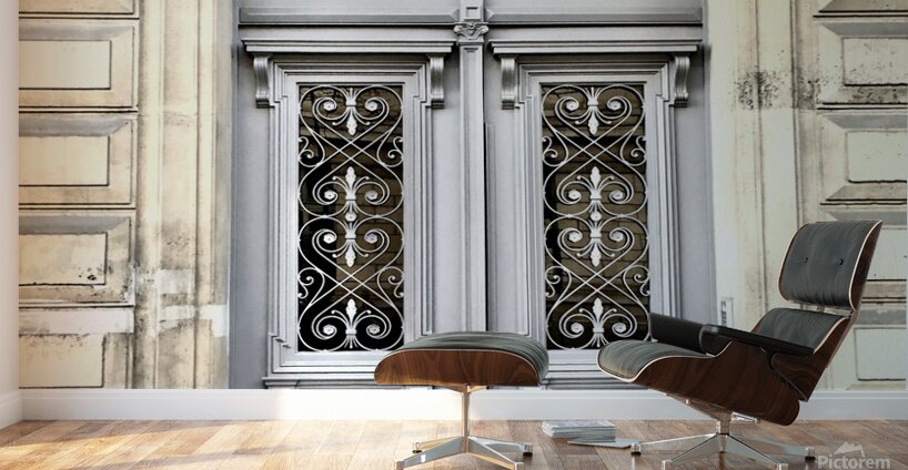 Paris Door 2 Wall Murals