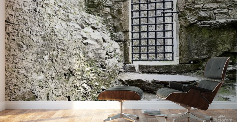 Blarney Castle Door Ireland Wall Murals