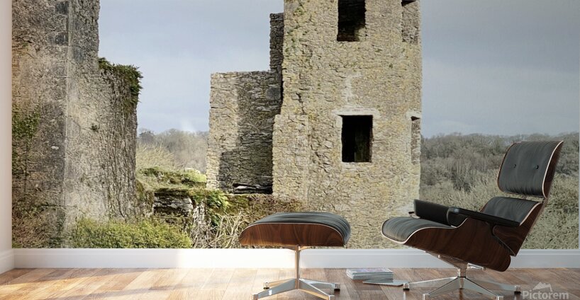 Blarney Castle Tower Ireland Wall Murals