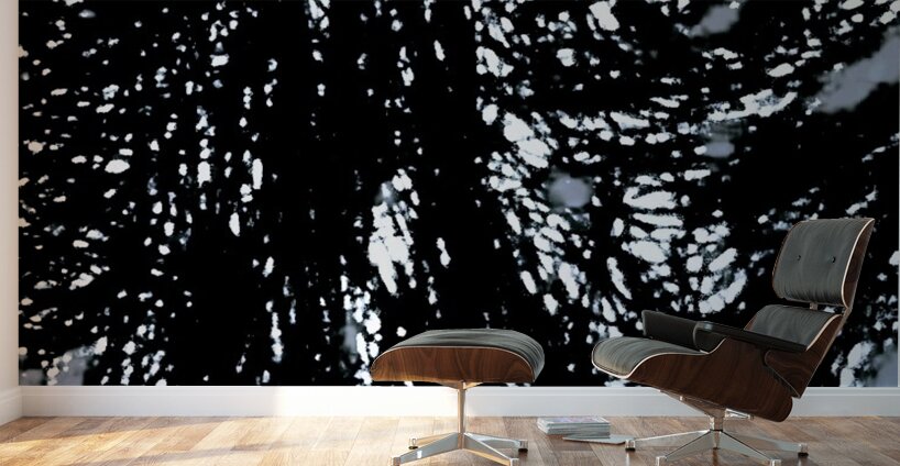 20230322 080803 her world within a world Wall Murals