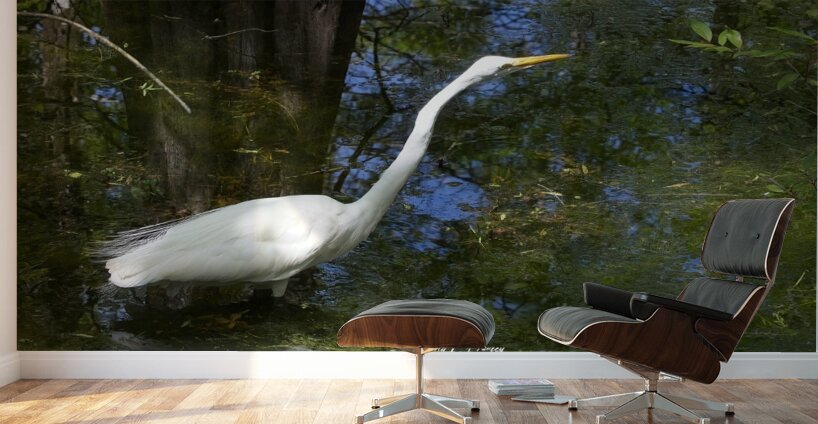 IMG 2789WhiteHeron Wall Murals
