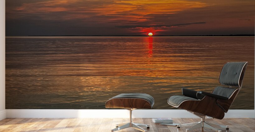 IMG 4612 Wall Murals