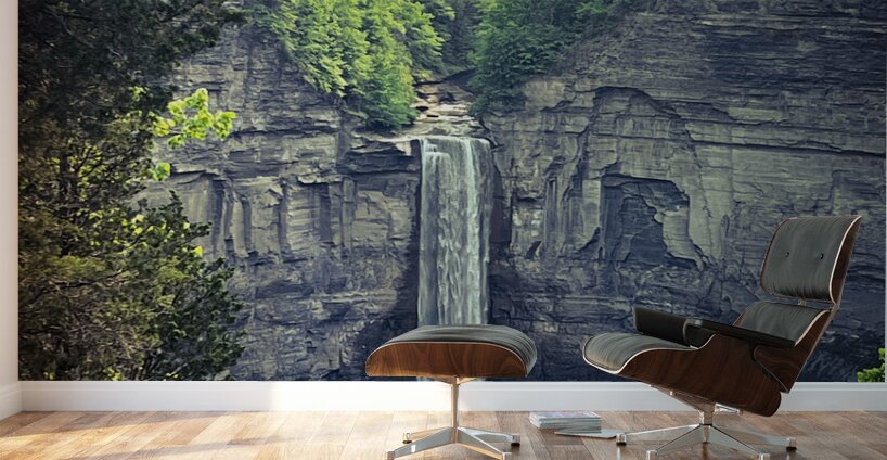 Taughannock Falls 2023 Wall Murals
