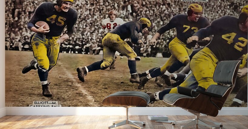 1945 Michigan Wolverines Football Art Wall Murals