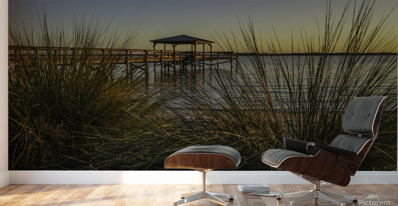 Through the blades Wall Murals