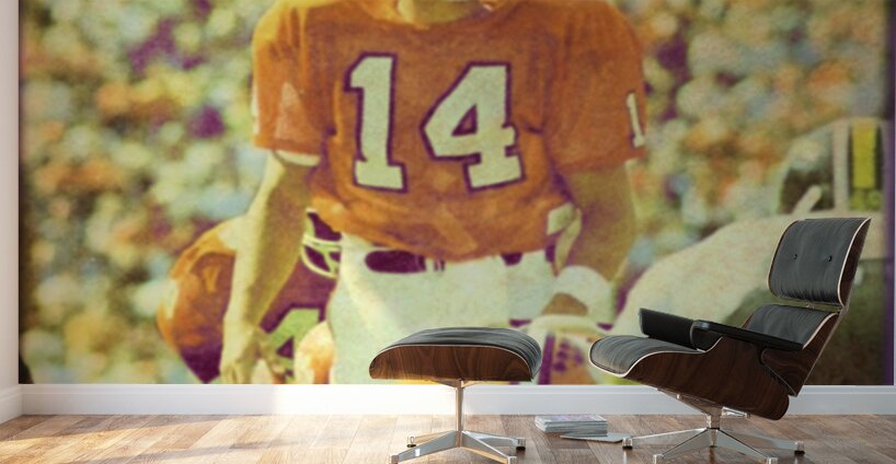 mike eppley clemson football art Wall Murals