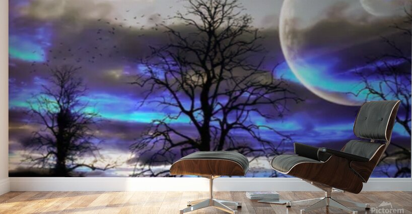 Night Moon Wall Murals