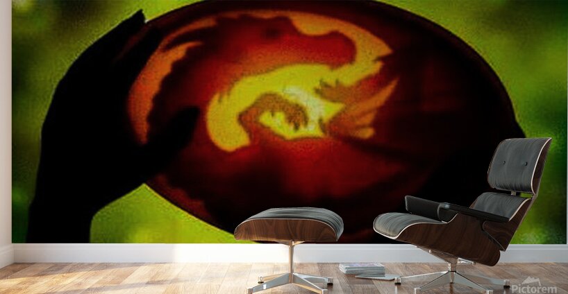 Dragon Egg Wall Murals