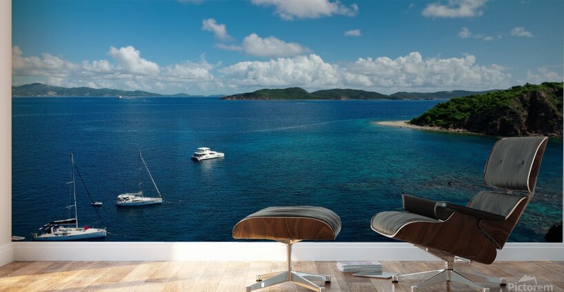 Anchored Bliss Wall Murals