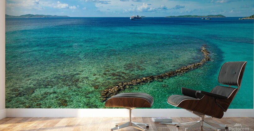 Crystal Reefway Wall Murals