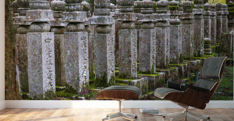 stone memorial stones inside the Okunoin background Wall Murals