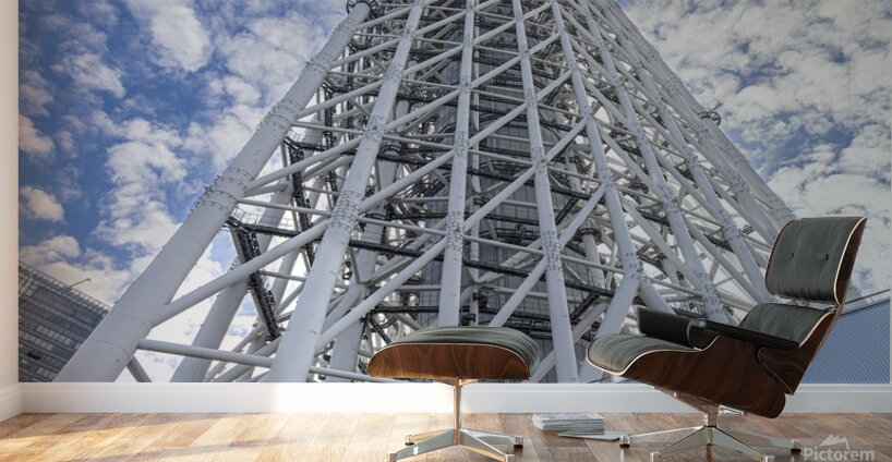 Tokyo Sky Tree bottom view  Wall Murals