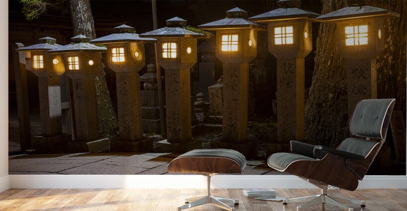 stone lanterns inside the Okunoin  cemetery Wall Murals
