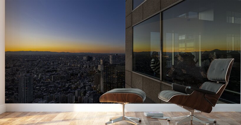 people observe the Tokyo cityscape from the government building Wall Murals