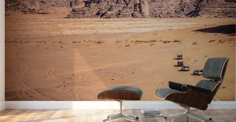 view of the wadi rum desert  Wall Murals