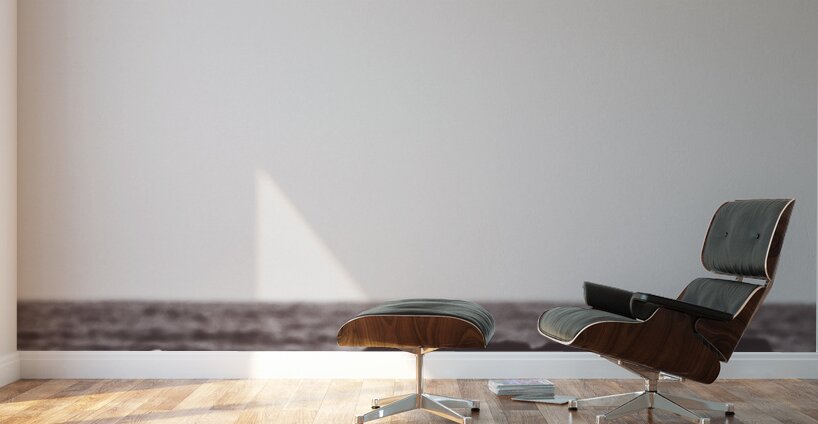 Policemans Point Pelicans Wall Murals