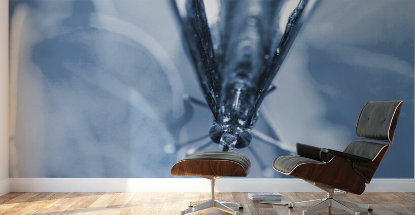 Blue spring Wall Murals