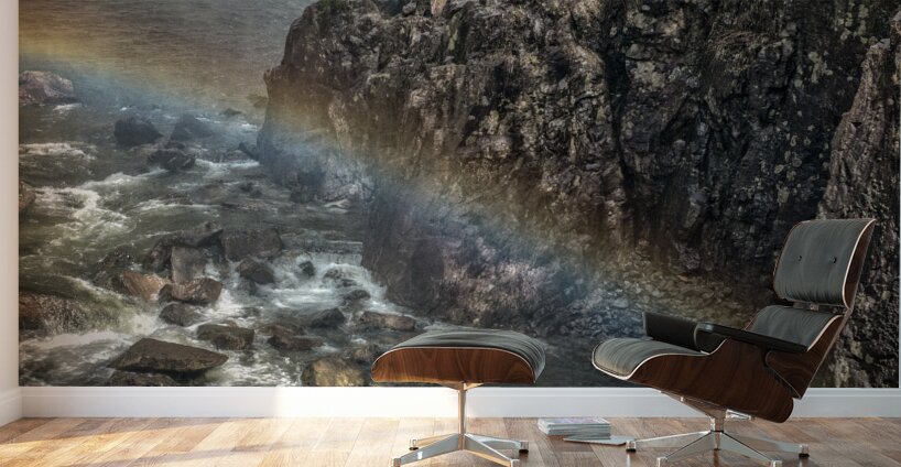 FS180417 SS Wall Murals