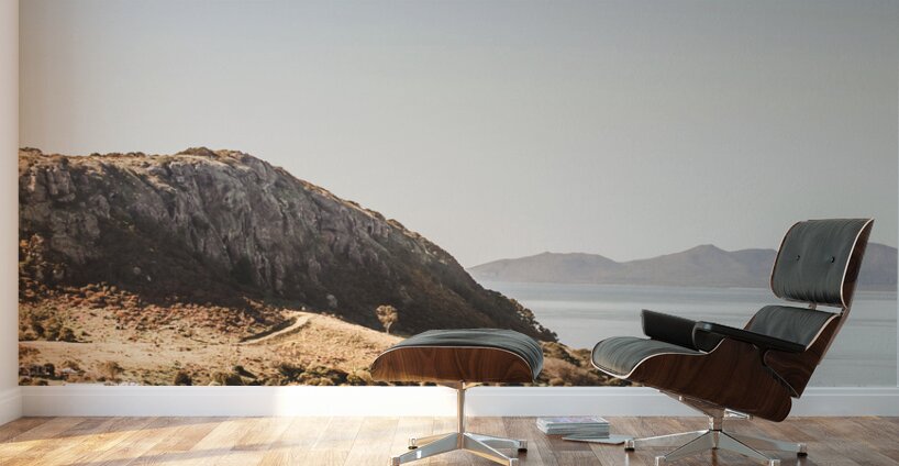 Coastal Tasmanian town Wall Murals