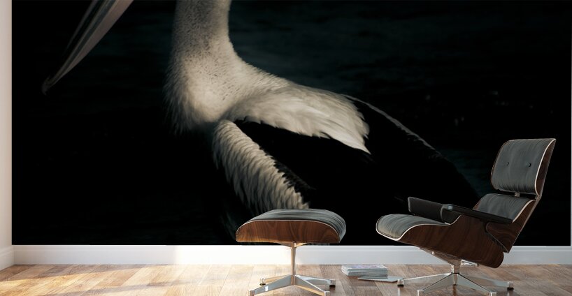 Twilight Pelican Wall Murals