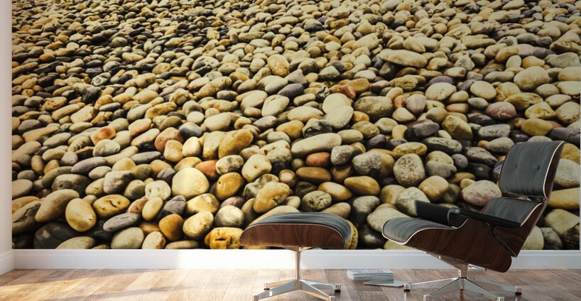 Lillico Beach Tasmania Wall Murals