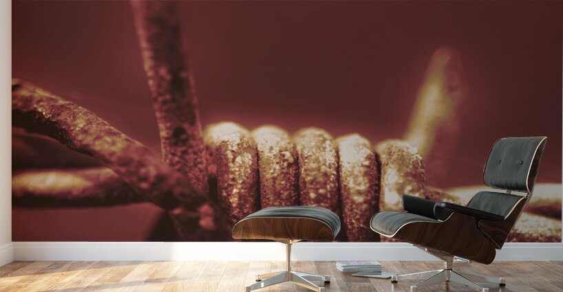 Corrosion of civil liberties Wall Murals