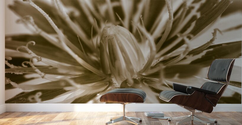 Beige n bloom Wall Murals