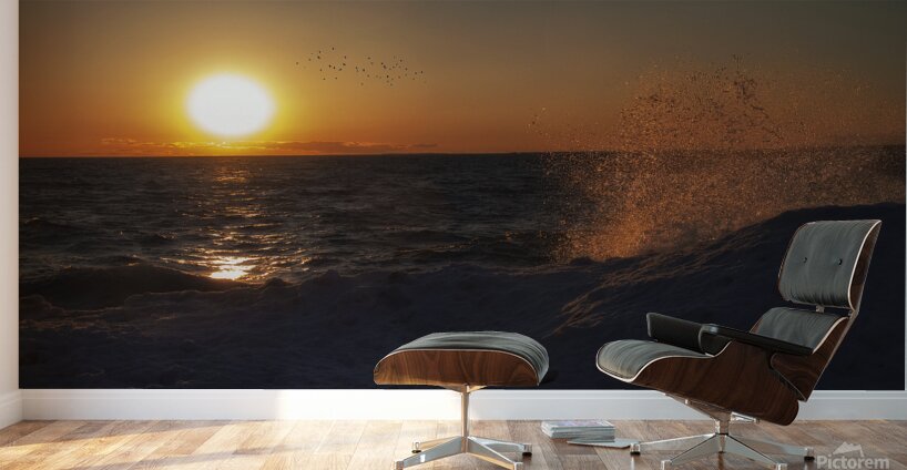 splash 2 Wall Murals