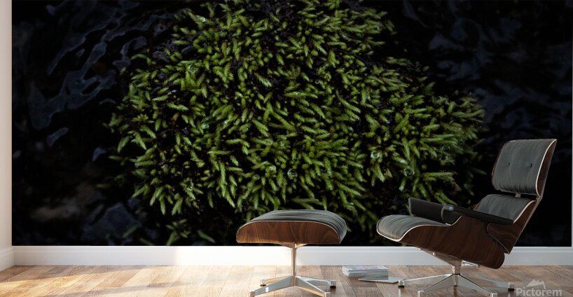 Dense Green Clumps Wall Murals