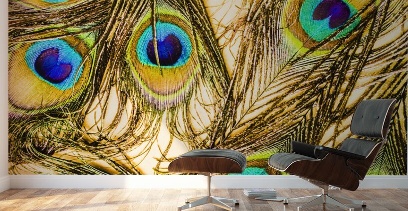 Peacock feathers still life Wall Murals
