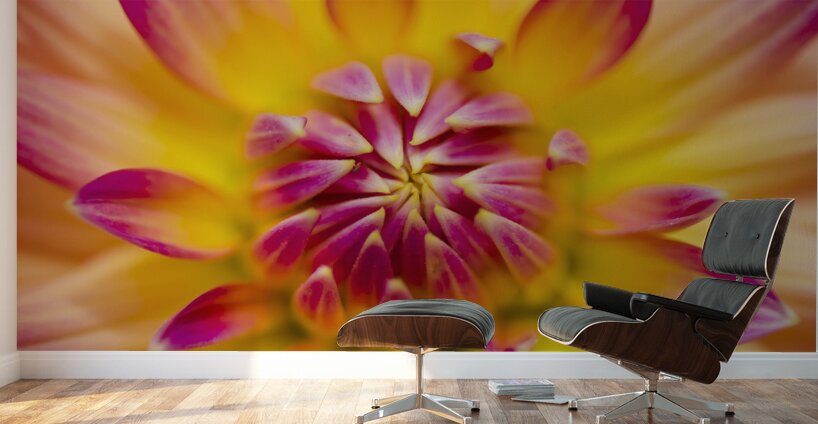 Beautiful colourful flower macro. Spring beauty Wall Murals