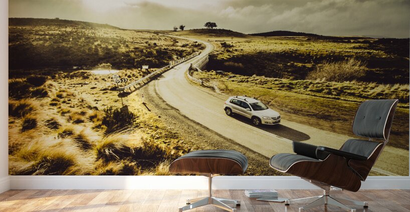 Tasmania travellers Wall Murals