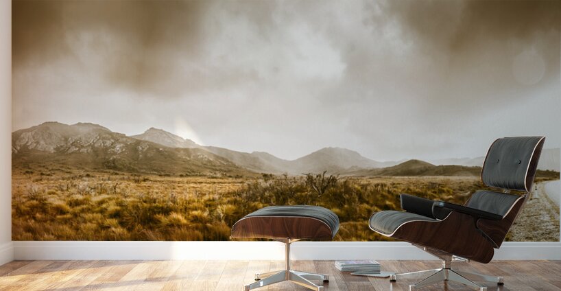 Ever expansive Tasmania Wall Murals