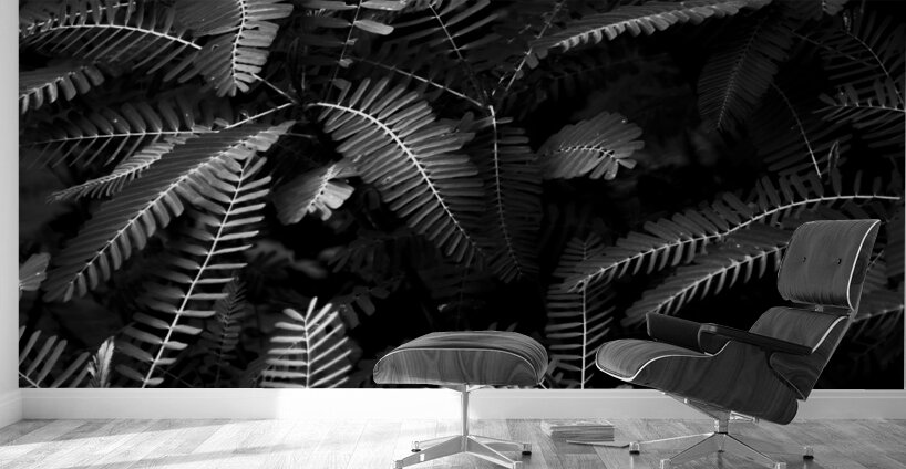 Ferns by the river Wall Murals