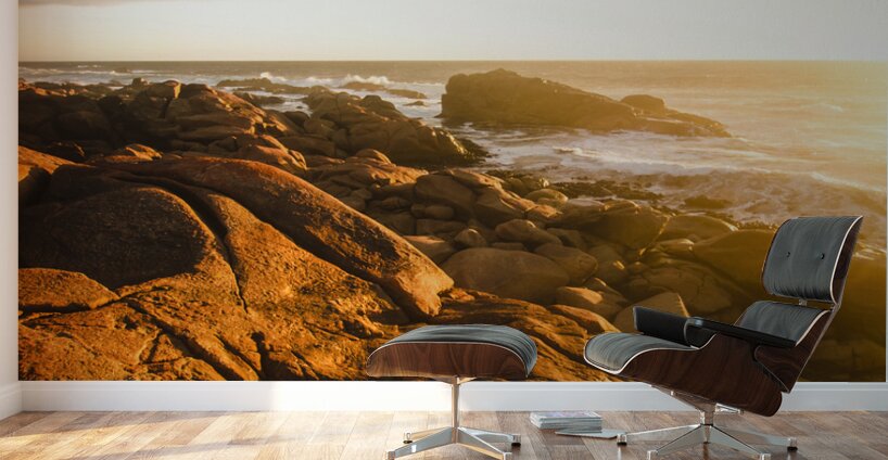 Golden Tasmania coastline Wall Murals