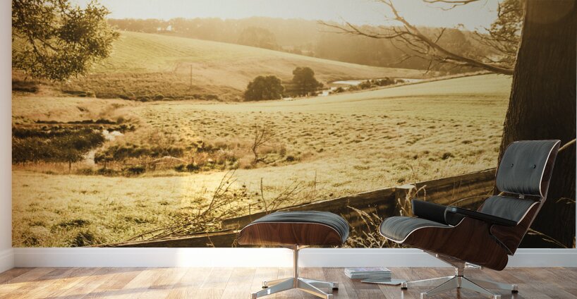 Sun drenched country Wall Murals