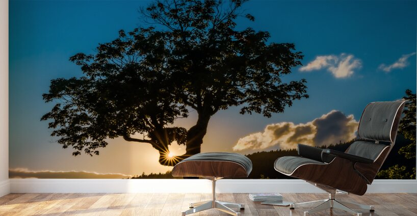 Kancamangus Sunset Wall Murals