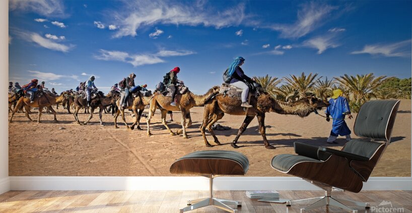 Camel caravan Sahara desert - Morocco Africa Wall Murals